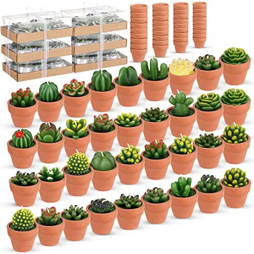 Shihanee 36 Pcs Succulent Candle Decorations